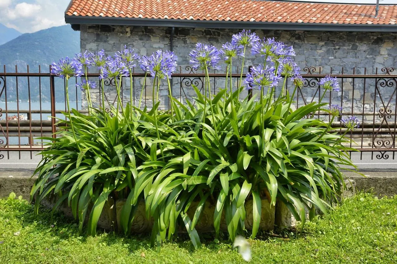 Casa Giardino Fiorito Daire San Siro